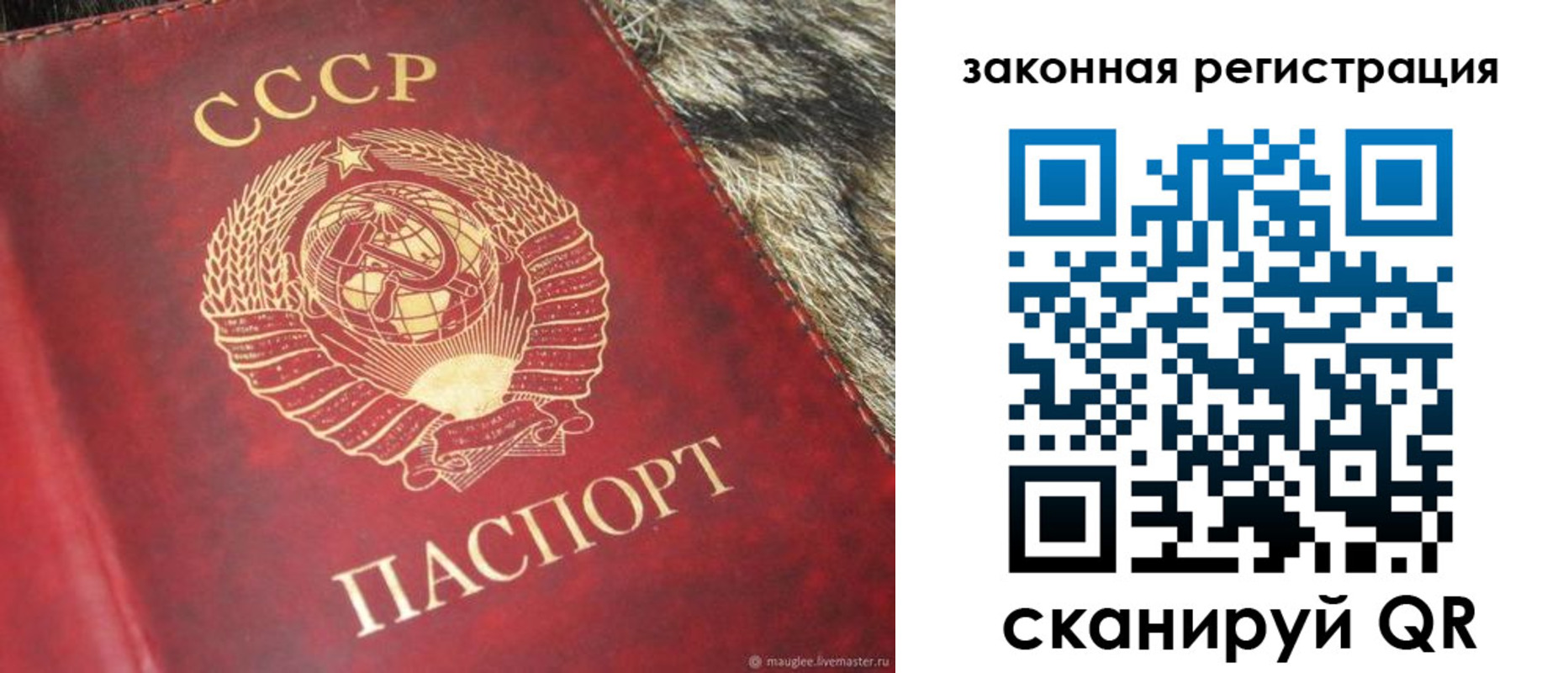 прописка от собственника в Дальнереченске